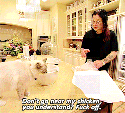 ozzy osbourne controversy cats