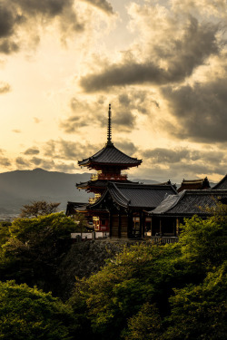 iesuuyr:Kyoto, Japan |    	Matt Gould 	  	 						 			     