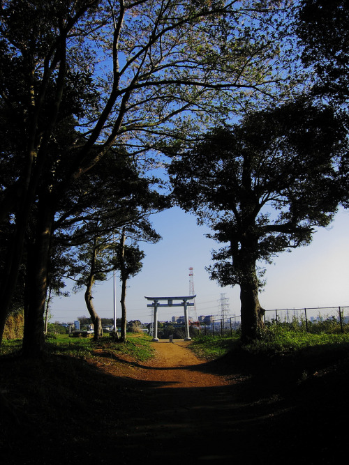 Torii 諏訪神社 (千葉市花見川区長作町) の鳥居。 By : Otota DANA(Do not remove credits)