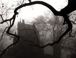 gothiccharmschool:  Atmospheric, haunting, and probably haunted. Yes, I’ll take them. 