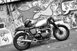 Triumph Bikes