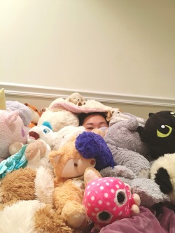 kitsandcollars:  kahlua-bear:  If you give a Princess a stuffie –  she’ll want another, and another, and another –    @kitsandcollars  So many 