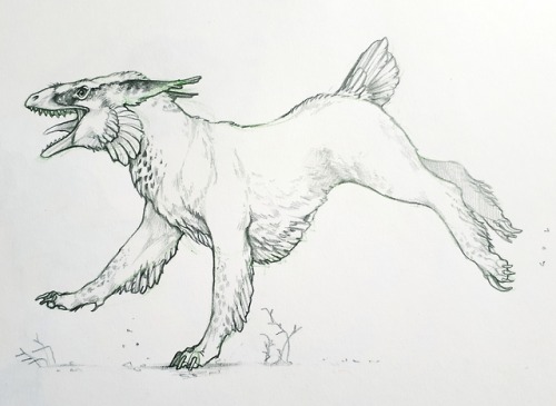 redtallin:Some recent fun and silly sketches of cat-raptors, which have unfortunately now been stuck