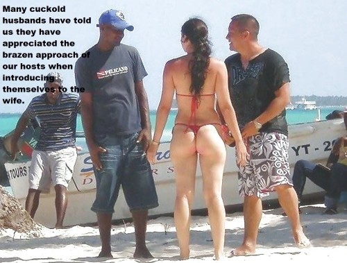 cuckcoupleuksblog - Untitled