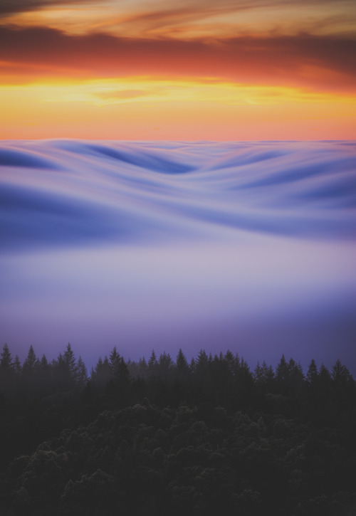 el-mo-fo-to: vaporscapes ・i | marin county, california A series of long exposure fog photos I’