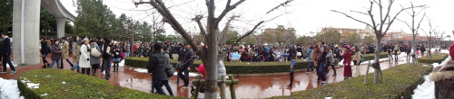 Panorama shots from Tokyo Disney Sea