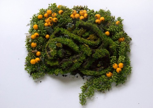  Human Organs Formed with Wild Plant Arrangements by Camila Carlow  UK-based, Guatemalan-born artist Camila Carlow was not deterred by the complexity of the human body when she was developing her series Eye Heart Spleen. For the project, she transformed