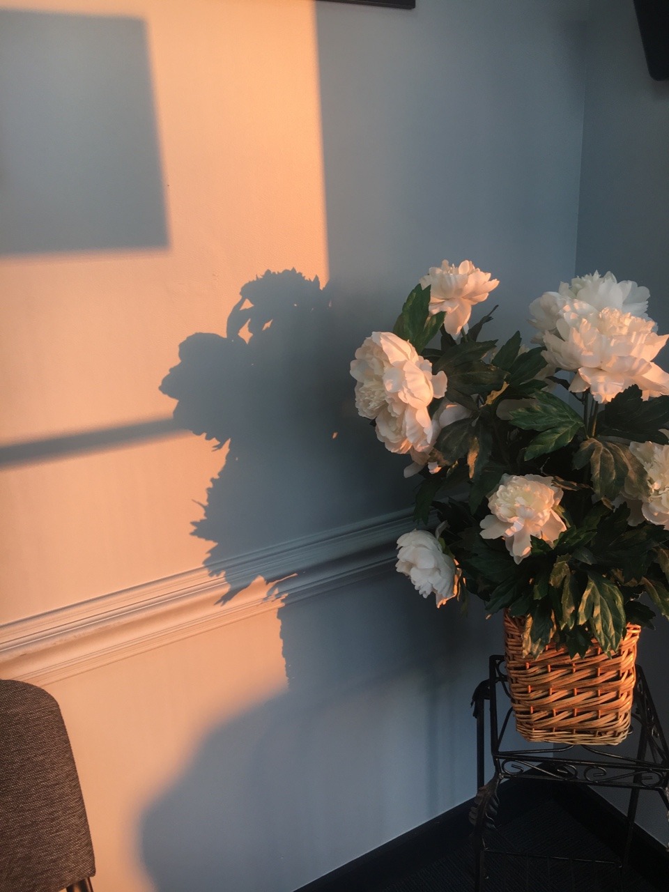 candiedlemons:  ✨flowers and sunshine✨