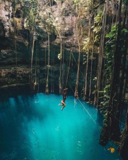 oceancuresall:   tropical blog my insta: #@veermoraes 
