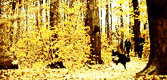 sharonvalerii:Hannibal → 2x06: Futamono