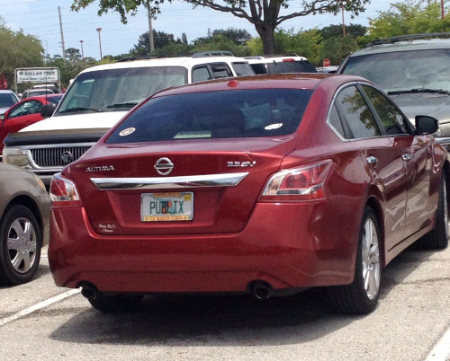 cetaceannerd: I found the most Floridian License Plate. I just don’t understand. 