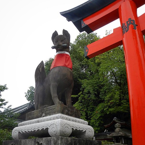 #FushimiInari #Kitsune #Kyoto #Japan #Nihon #Giappone #Summer #2014 #Instatravel #京都 #日本 #狐 #伏見稲荷