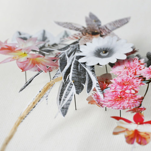 asylum-art:  Delicate Flower Constructions By  Anne Ten Donkelaarnetherlands-based artist anne ten donkelaar constructs her intricate flowerscapes using both real pressed flowers that she collects collaged with paper floral elements. the series of three-d