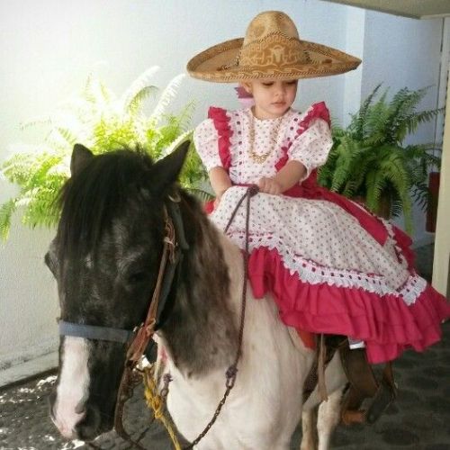 sartorialadventure:Some kickass Mexicanas participating in una charreada (click to enlarge)The charr