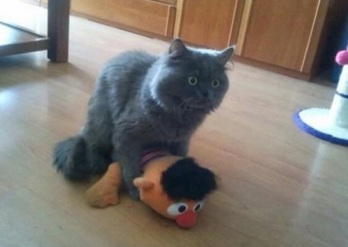 mrorexis: I have been there Ernie!