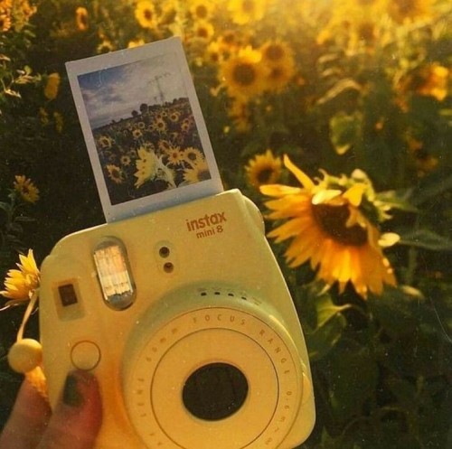 Spring's Dawn