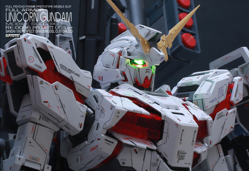 tomahawkfield:  (via Untitled-35.png (1400×966)) 