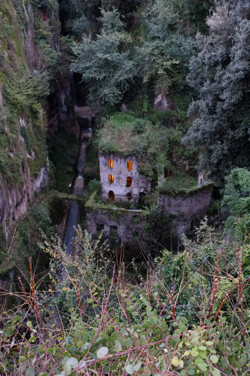 kelleysroom:scavengedluxury:Abandoned mill. Sorrento, Nov 2013.DREAM HOME