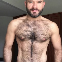 🐻Luv the FUR🐻 Hairy Bearded men. No Twinks