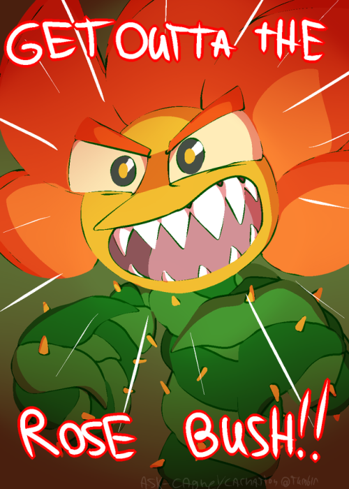 ask-cagneycarnation:“Whaddya mean you’ve never heard it? It’s a very common plant saying!”