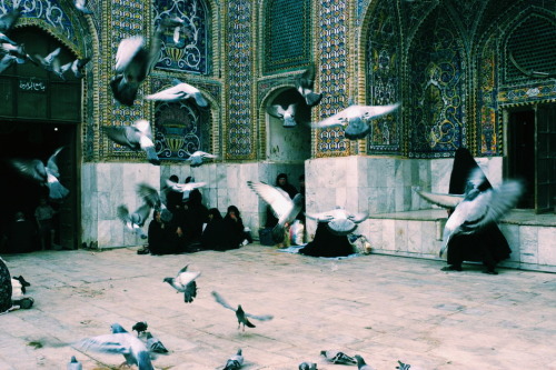 ehosk:  Al-Kadhimiya Mosque in Baghdad, Iraq 2002 by Thomas Dworzak 