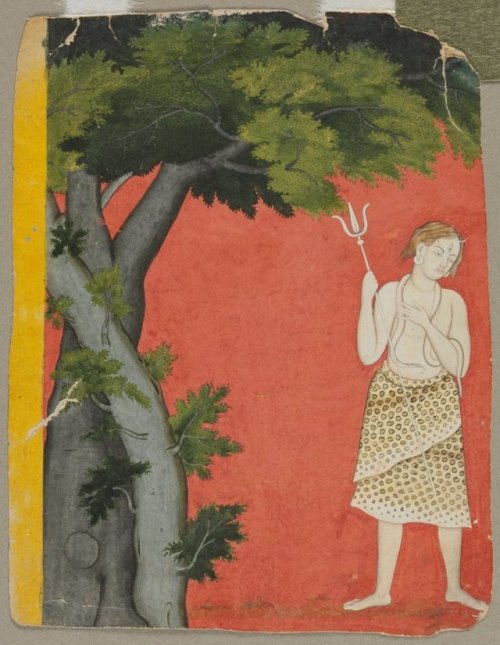 Shiva Under Trees, c. 1780Pahari, Kangra school, 18th centuryColor on paper