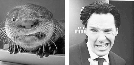 violinist-in-the-tardis: siriuslybenaddicted:  I’m not sorry for the amount of
