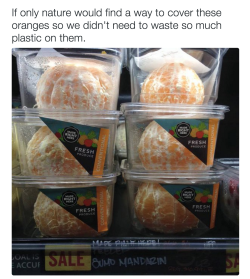 eridnis:  electro-princess:  Pre-peeled for on the go, idiot.  #not everyone has an orange peeler with them what the hell is an orange peeler? you’re supposed to use your hands   THESE AREN’T EVEN ORANGERS 