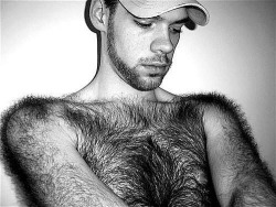 harrybacks:  Hairy Shoulders 22 