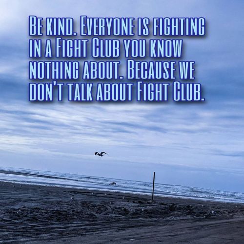 Be kind.  #BeKind #BeachLife #QuotesToLiveBy #Seagull #PacificOcean www.instagram.com/p/CI-2
