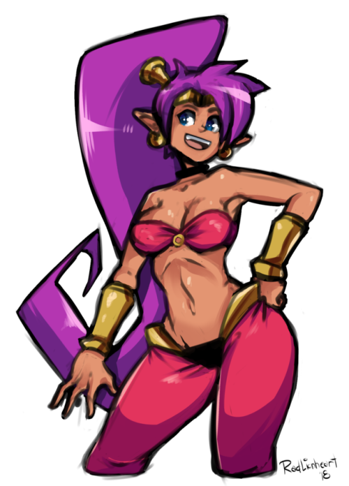 XXX radlionheart:  Drew Shantae to use as 2018′s photo