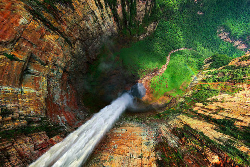 El Salto Angel - Venezuela Follow In search of beauty and please don’t copy…. reblogOnly high resolu