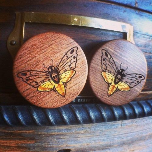 1-5/8” Death’s-Head Hawkmoths Made by Omerica Organic Photo taken by Omerica Organic For 20% off yo