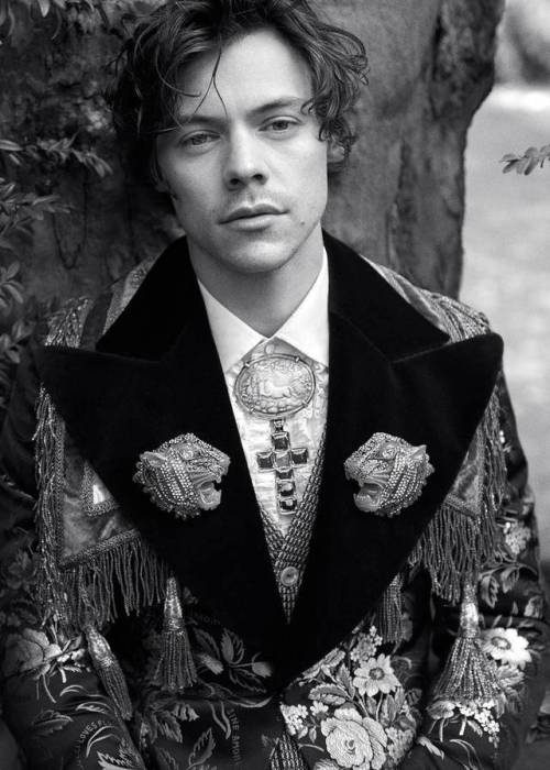 thedailyharry:Harry Styles for Gucci Cruise 2019 Tailoring Campaign (Photographed by Glen Luchford)