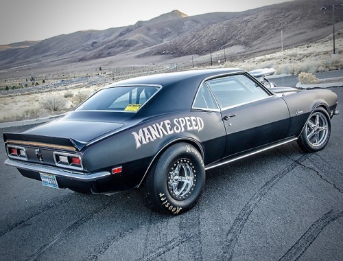 utwo:  1968 Prostreet Camaro© steve temple