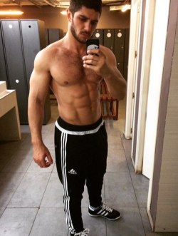 arenasgym.tumblr.com post 143701797987