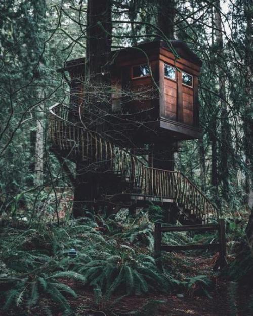 theadventurouslife4us - TreeHouse Point, Washington, US | ...