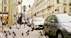 bardbowdamn:  Every movie of 2015 [7/?]The Devil Wears Prada (2006)