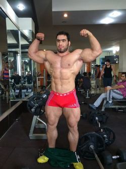 nicemusclemen:Ayat Bagheri