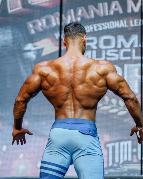 musclecomposition:Physique model,   Andrei Deiu  