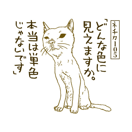 itsushi:  ネチカ　〜野良学的秩序によって証明された〜「ネチカ」はてブ日刊連載の第15週目。ベスト3で御座います。