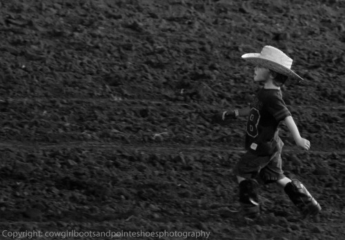 Adorable little cowboy trying his hardest at the calf scramble :) I wish this had turned out better 