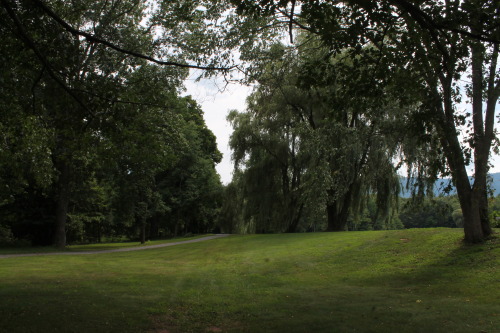 Took a trip up to the Catskill Mountains. I stayed at Glenbrook Farms for a week with my boyfriend, 