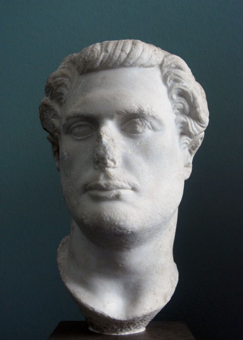 Portrait of a roman. 69-96 AD. Marble. Ny Carlsberg Glyptoteket, Copenhagen. Inv. 1742myglyptot