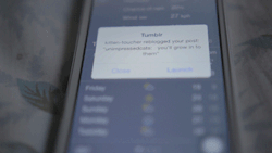 allantruong:  the notification feature on the tumblr app is cool but… 