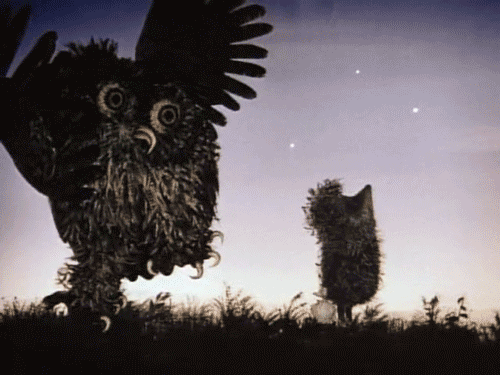 blue-voids:  Hedgehog in the Fog (1975) - dir. Yuri Norstein 