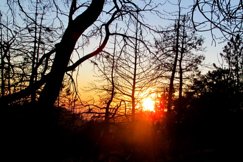 letsbeforestfriends:  Sunset, (by letsbeforestfriends)