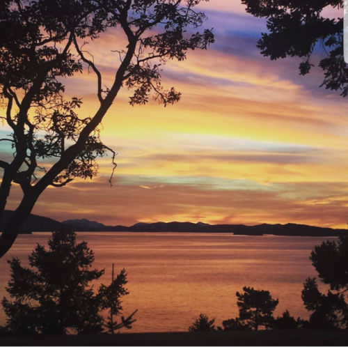 ‘Canvas’ Pender Island, British Columbia, CanadaI have a thing for sunsets apparently lmao