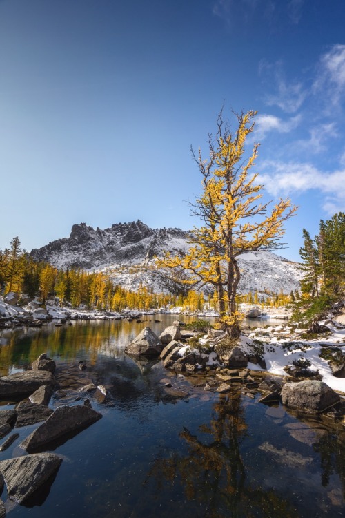 Larch Season . Complete first set of my Enchantments work from October 2019. A variety of my favorit