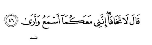 m3i-rabi:  دائما ما تشعرني هذه الآية باﻷمان كلما قرأتها و سمعتها الحمدلله ربي 